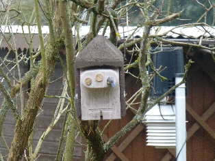 Frühlingserwachen