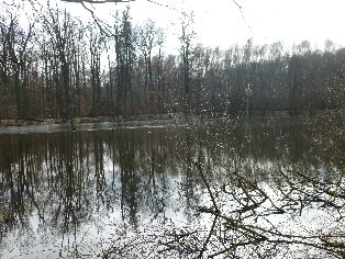 Frühlingserwachen