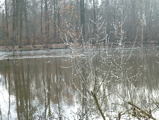 Frühlingserwachen