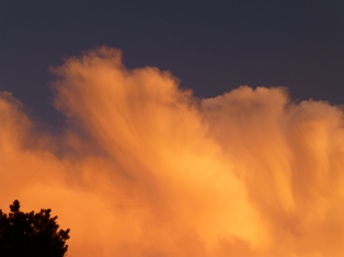Vorbeiziehende Gewitterwolke (CB) in der Abendsonne