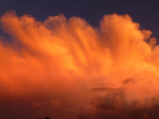 Vorbeiziehende Gewitterwolke (CB) in der Abendsonne