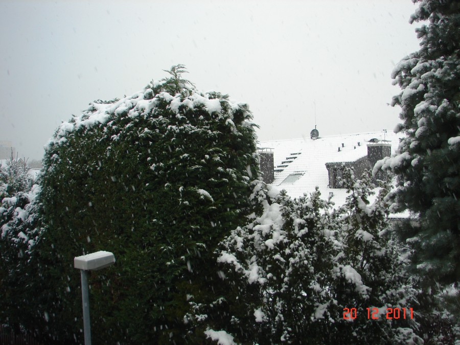 Erster Schnee Winter 2011/2012